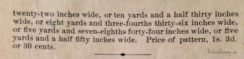 1895 9-gored skirt w-bias edges (5)