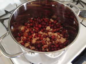 Cranberries & fruit starting to cook